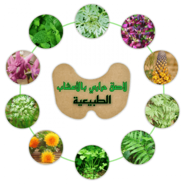 2023 .اللاصقة الحرارية بالأعشاب الطبيعية للتـخلـص من ألـم الركبة™ - 14 قطعة - Makfool